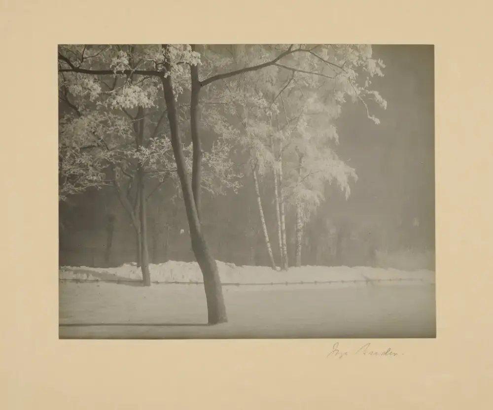Foto: Inga Breder, ca. 1925. Digital kopi fra et positiv 20 x 68 cm. Fra Preus museums samling.