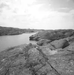 Översikt, hamnbasängen och brygga nedanför ristningsområdet,