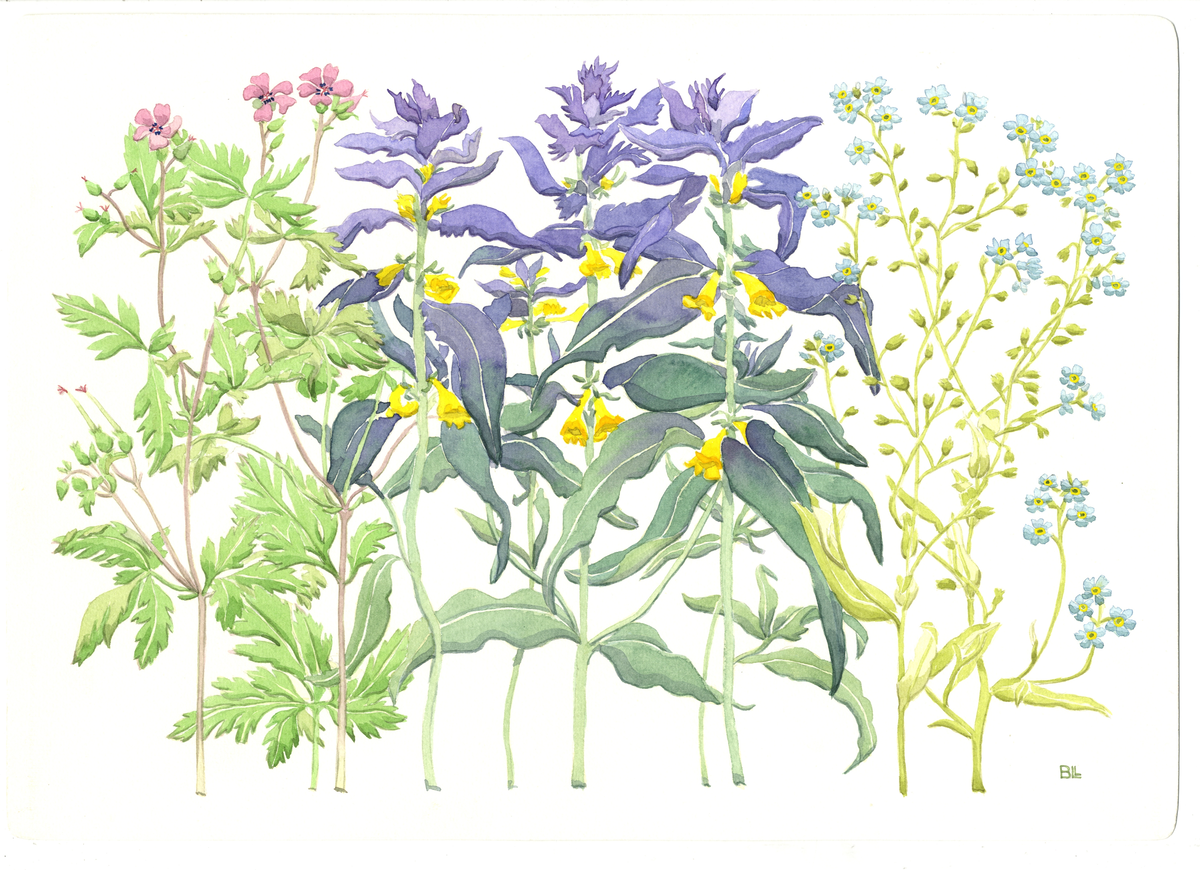 Förlaga till bordsunderlägg med sommarblommor,