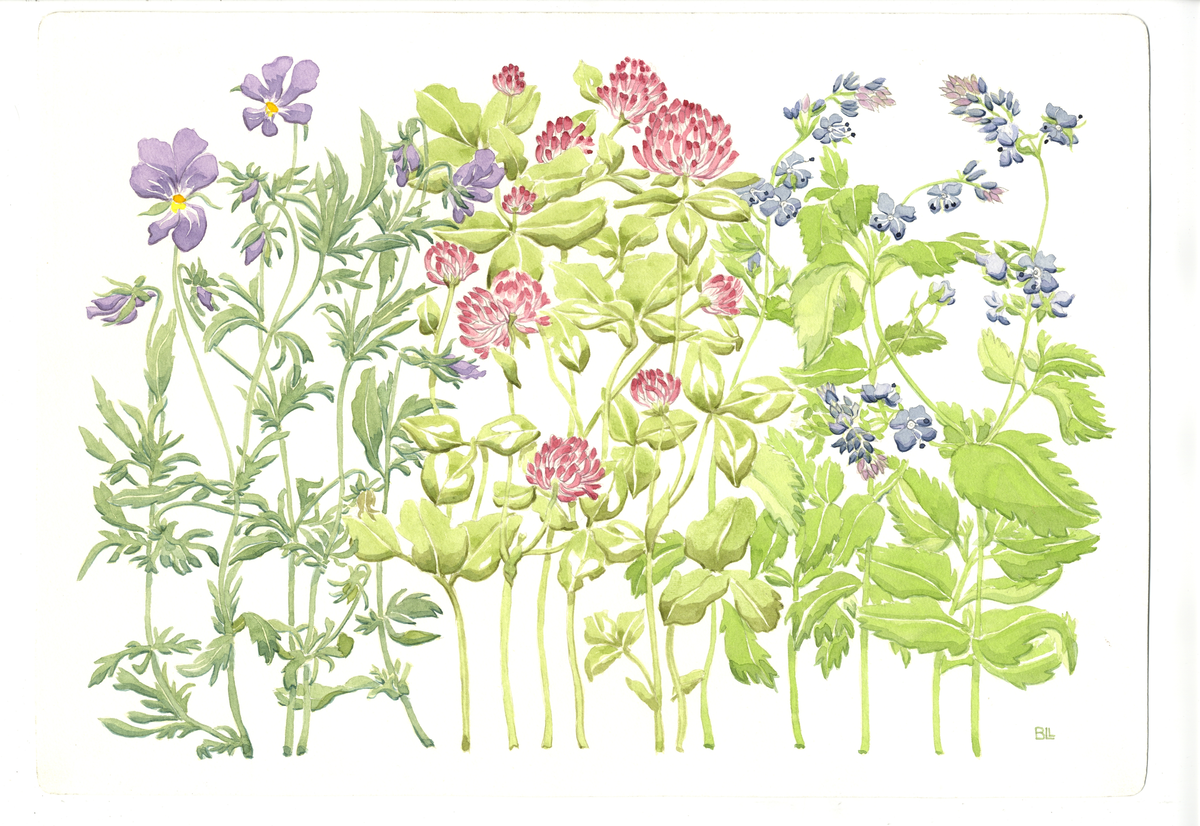 Förlaga till bordsunderlägg med sommarblommor