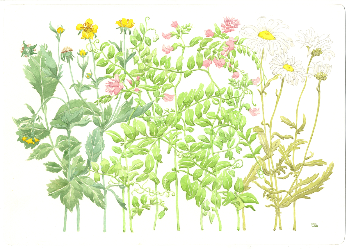 Förlaga till bordsunderlägg med sommarblommor