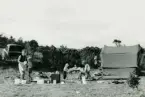 Familjen Erikssons tältsemestrar med bil på 1950- och 1960-talet. Vildcamping vid Hoburgen på Gotland 1959.  Från vänster mamma Gun-Britt, Thomas, Björn och Bodil.