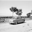 Familjen Erikssons tältsemestrar med bil på 1950- och 1960-talet. Familjens bil, Ford Taunus med registreringsnummer F25268, vid Grankullavik på Öland 1952.