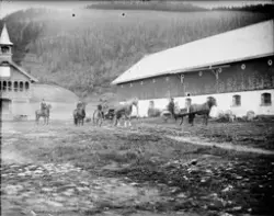 Persontransport med hest på Follo gård