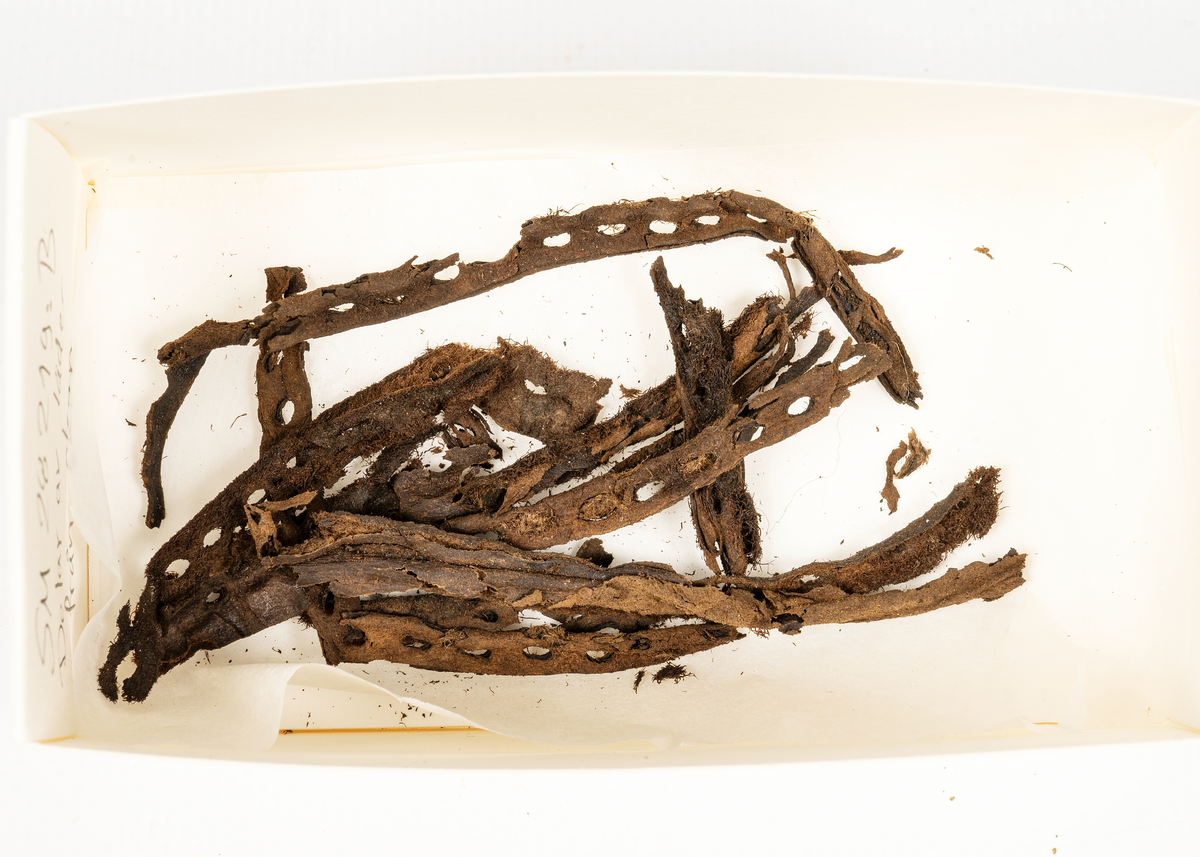 Lädersko med trä- och lädersula. Hög plös och rem över vristen. Ihoptråcklad. Silkepapper i tån.
a) skon
b) delar av läder från skon