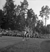 Idrottstävlingar på Värendsvallen, 1944.
Löpning för herrar.