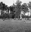 Idrottstävlingar på Värendsvallen, 1944.
Spjutkastning för herrar.