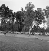 Idrottstävlingar på Värendsvallen, 1944.
Spjutkastning för herrar.