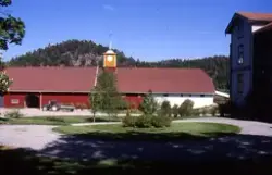 Medföljande text: "Ladugården, juni".