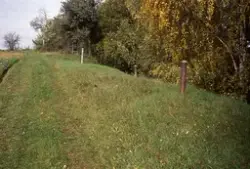 Medföljande text: "Grästaken på vinkällarna, 01-okt, ekomuse