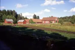 Medföljande text: "Björkåsen vy mot vänster, Sv. Ekomuseiträ