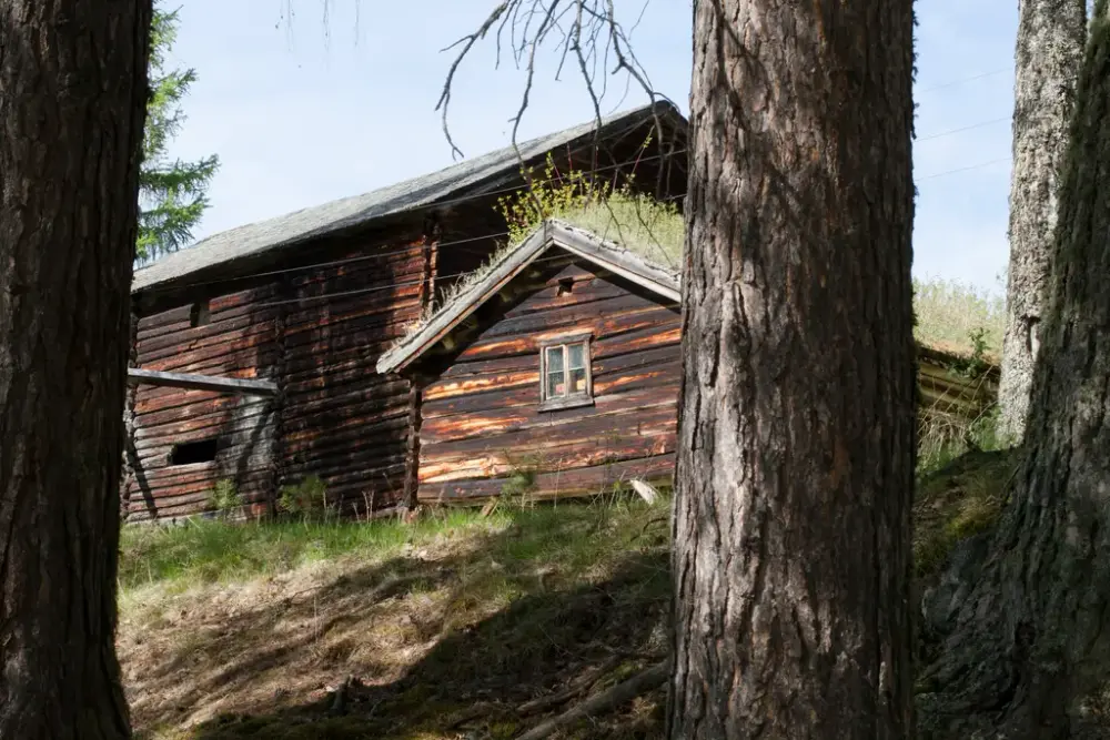 Gamle tømmerhus