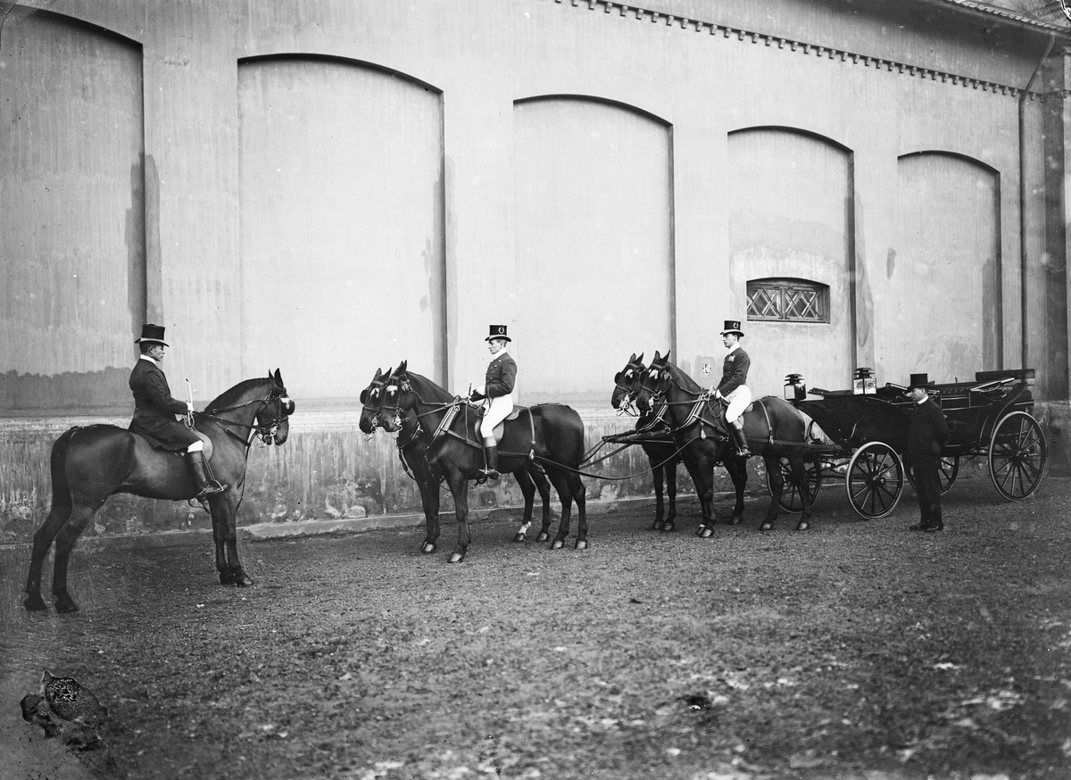 Slottet, stallbygninger, hester, kongevogn