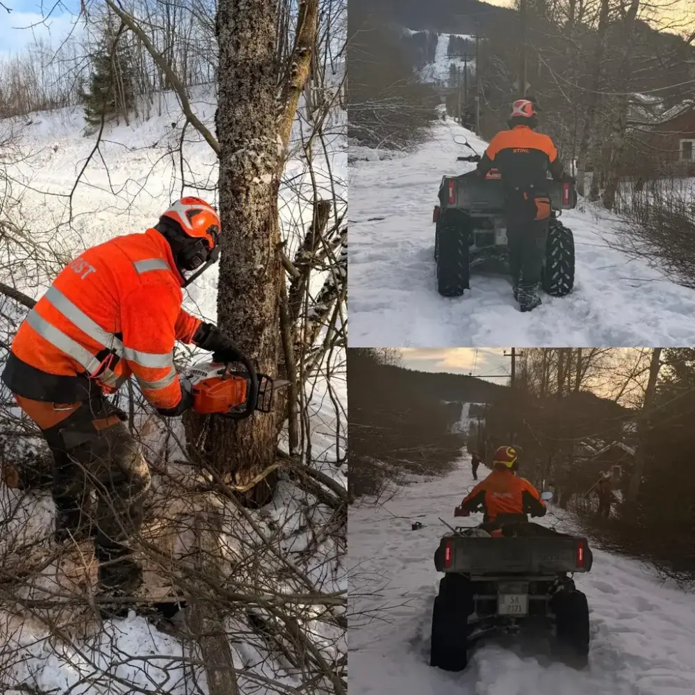 Bilder fra skogrydding langs Thamshavnbanen