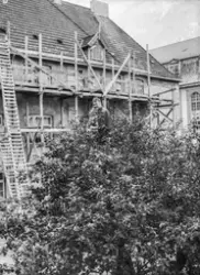 Stillas på Murboligen og ein mann i toppen av eit epletre.