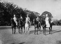 Akershus Cirkus Dragon
