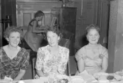 Bygdelaget Nea feirer 50 år