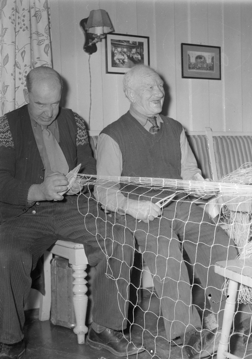 Gråmølna, Velferdsstua