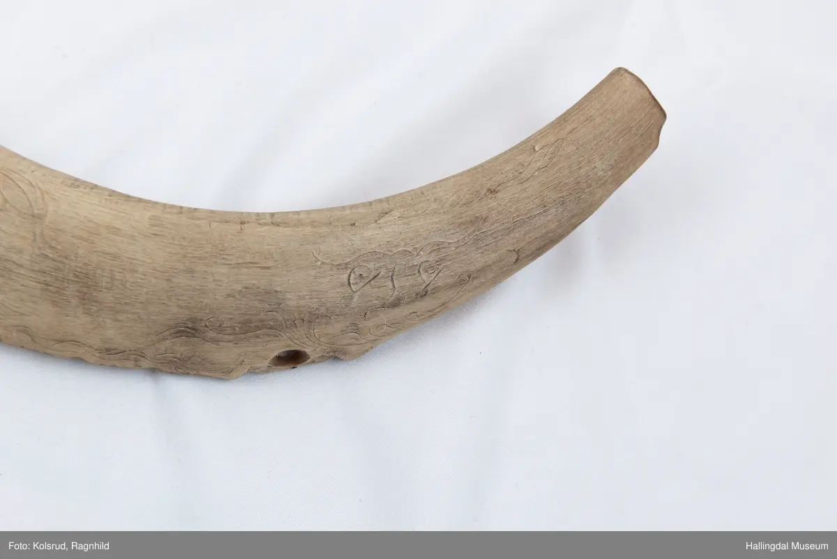 5 hol (bortimot sirkulære, ca. 1,1 cm i diameter) på eine sida og eitt mindre hol tvers gjennom hornet ytst i kanten lenger ut mot den smalaste enden. Rett avsaga i den smalaste enden, noko meir ujamn i andre enden. Bladornamentikk ripa inn med kniv. Bokstavane S T S er også ripa inn med kniv på kvar side. 