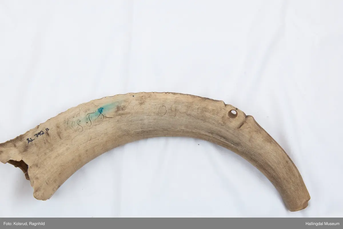 5 hol (bortimot sirkulære, ca. 1,1 cm i diameter) på eine sida og eitt mindre hol tvers gjennom hornet ytst i kanten lenger ut mot den smalaste enden. Rett avsaga i den smalaste enden, noko meir ujamn i andre enden. Bladornamentikk ripa inn med kniv. Bokstavane S T S er også ripa inn med kniv på kvar side. 