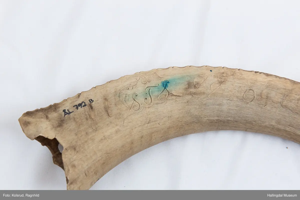 5 hol (bortimot sirkulære, ca. 1,1 cm i diameter) på eine sida og eitt mindre hol tvers gjennom hornet ytst i kanten lenger ut mot den smalaste enden. Rett avsaga i den smalaste enden, noko meir ujamn i andre enden. Bladornamentikk ripa inn med kniv. Bokstavane S T S er også ripa inn med kniv på kvar side. 