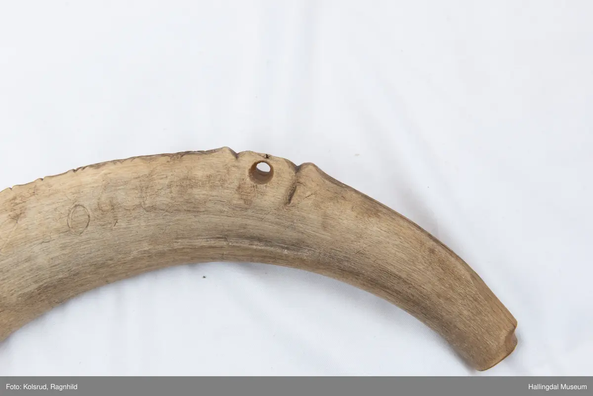 5 hol (bortimot sirkulære, ca. 1,1 cm i diameter) på eine sida og eitt mindre hol tvers gjennom hornet ytst i kanten lenger ut mot den smalaste enden. Rett avsaga i den smalaste enden, noko meir ujamn i andre enden. Bladornamentikk ripa inn med kniv. Bokstavane S T S er også ripa inn med kniv på kvar side. 