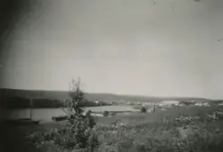 Åkerlandskap med hesjer langs elva, Røros og Kvitsanda i bak