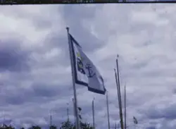 Regattor på Mälaren