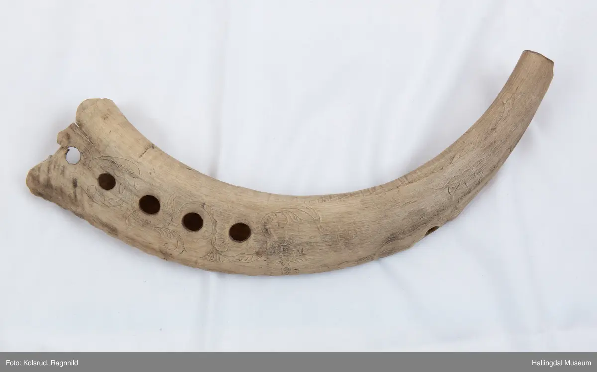 5 hol (bortimot sirkulære, ca. 1,1 cm i diameter) på eine sida og eitt mindre hol tvers gjennom hornet ytst i kanten lenger ut mot den smalaste enden. Rett avsaga i den smalaste enden, noko meir ujamn i andre enden. Bladornamentikk ripa inn med kniv. Bokstavane S T S er også ripa inn med kniv på kvar side. 