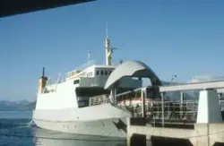 Buss på ferge Bognes - Skarberget  Nordland