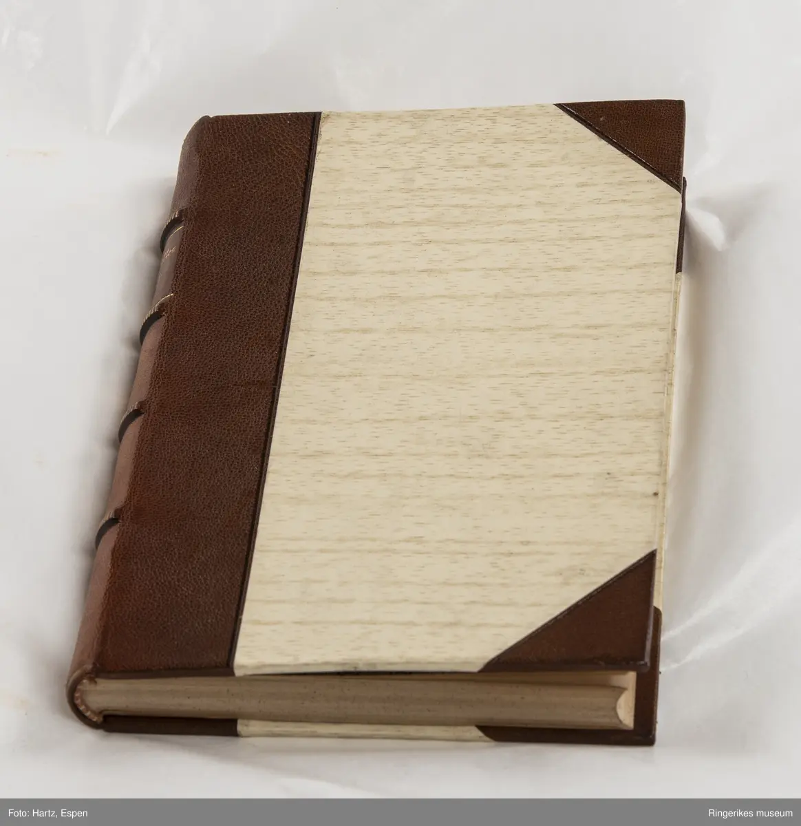 SAUL. Tanker og billeder, skrevet av Edvard Blaumuller, trykket i København i 1886, 271 sider.