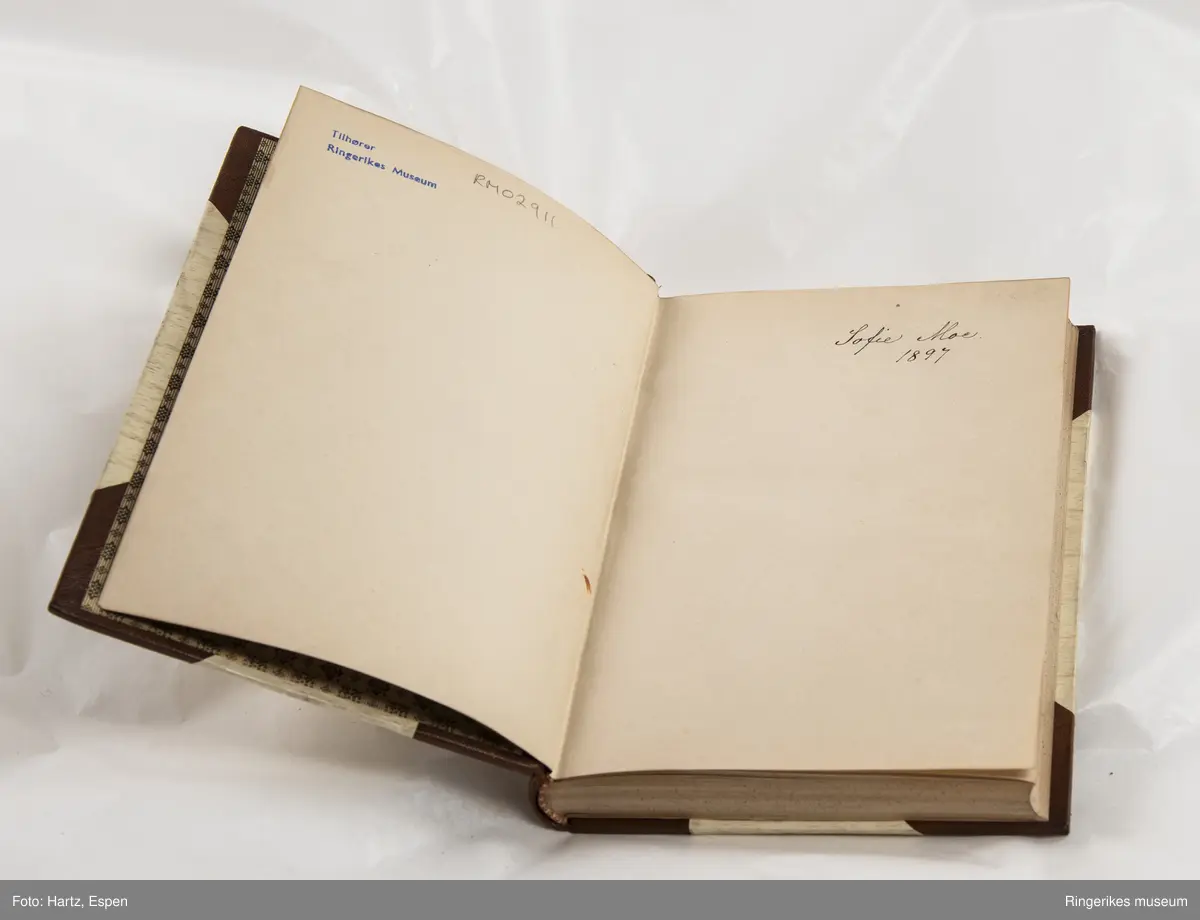 SAUL. Tanker og billeder, skrevet av Edvard Blaumuller, trykket i København i 1886, 271 sider.