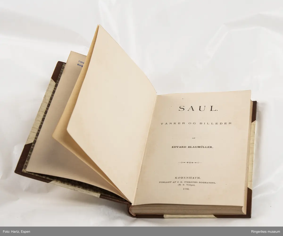 SAUL. Tanker og billeder, skrevet av Edvard Blaumuller, trykket i København i 1886, 271 sider.