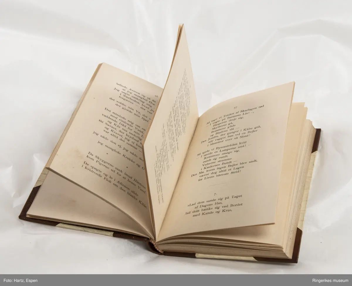 SAUL. Tanker og billeder, skrevet av Edvard Blaumuller, trykket i København i 1886, 271 sider.