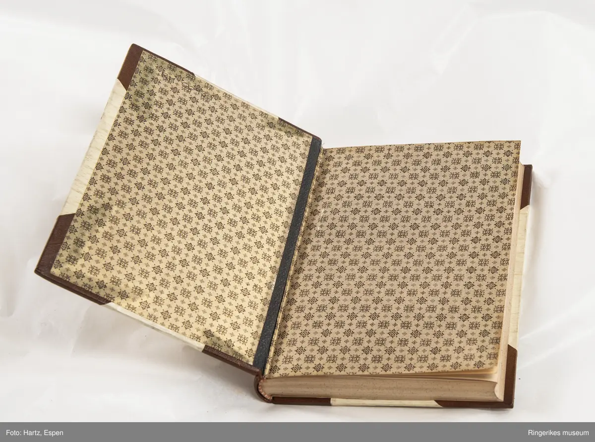 SAUL. Tanker og billeder, skrevet av Edvard Blaumuller, trykket i København i 1886, 271 sider.