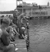 Simningen, 16/8 1942. 
Vinnaren vid simtävlingarna får motta segerkrans.