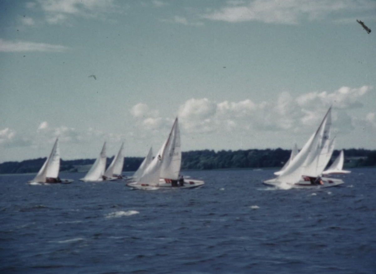 Film från Upsala Segelsällskap som skildrar uttagningsseglingarna inför de svenska mästerskapen för neptunkryssare 1960. Uttagningarna arrangerades av USS och ägde rum i havsviken Ekoln.

USS flagga är hissad och filmas inledningsvis innan fokus skiftas till kappseglingen som är i full gång. På banan rundas ruskprickar av neppare som konkurrerar om poäng. Uttagningstävlingen filmas ur olika vinklar. Startfältet innehåller många beprövade och skickliga seglare. Båtar som tidigare har vunnit SM så som CICAC, FELICIA, SAGA och LULU tävlar vid sidan av framtida svenska mästare som KOKETT, BALLERINA och JEHU. Den sistnämnda neptunkryssaren, med Olle Ryman vid rodret och med Sten Tjärnström som gast, var den som vann mästerskapet detta år. En arrangörsbåt filmas samtidigt som neptunkryssarna avslutar seglingen och tar sig mot en brygga. Vid bryggan förtöjs båtarna och seglen halas. 

Kappseglingar sker sedan med båtar från andra entypsklasser så som mälar 25, 5,5 meter, nordisk folkbåt, stjärnbåt och finnjolle. Emellanåt förekommer även neptunkryssare. Omgivningen runt USS brygga skildras innan filmen plötsligt skiftar från färg till svartvitt. En segelbåt av oidentifierad entypsklass har kantrat och får assistans av en sjöräddningsbåt. Segelbåten, som mestadels ligger helt under vattenytan, blir bogserad. Båtens seglare har klamrat sig fast i skrovet och blir därmed också bogserad. När båten har anlänt till bryggan börjar en person iklädd badbyxor att ösa den med en hink. Blandade klipp från uttagningarna följer. Bland annat från vad som förmodligen är Restaurang Skarholmen där ett bord fyllt av pokaler hamnar i fokus. Avslutningsvis filmas ett antal seglare. Några av dem bär skärmmössor och kläder med emblem från segelsällskap. Det går bland annat att urskilja emblem från Segelsällskapet Brunnsviken, Stockholms Segelsällskap samt Gefle Segel Sällskap.