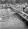 Simningen, 16/8 1942. 
En simtävling.