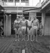Simningen, 16/8 1942. 
Manliga tävlande.