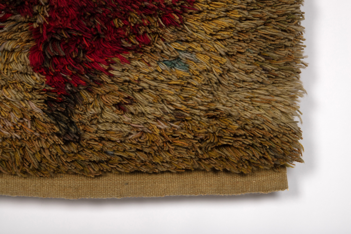 Rektangulær rye i ullfloss med rombemotiv. Tette rekker innknyttet langtrådet floss av løst tvunnet, tykt ullgarn med cirka 1 cm avstand mellom rekkene. Flossens hovedfarge er gullig (gult og nyanser av beige og grønt) med svake innslag av mønsterfargene; nyanser av rødt og blått. Disse er samlet i ujevne, rombiske figurer i rekker. En bred kant uten floss, i bunninnslagets gullige farge avslutter ryen oppe og nede.