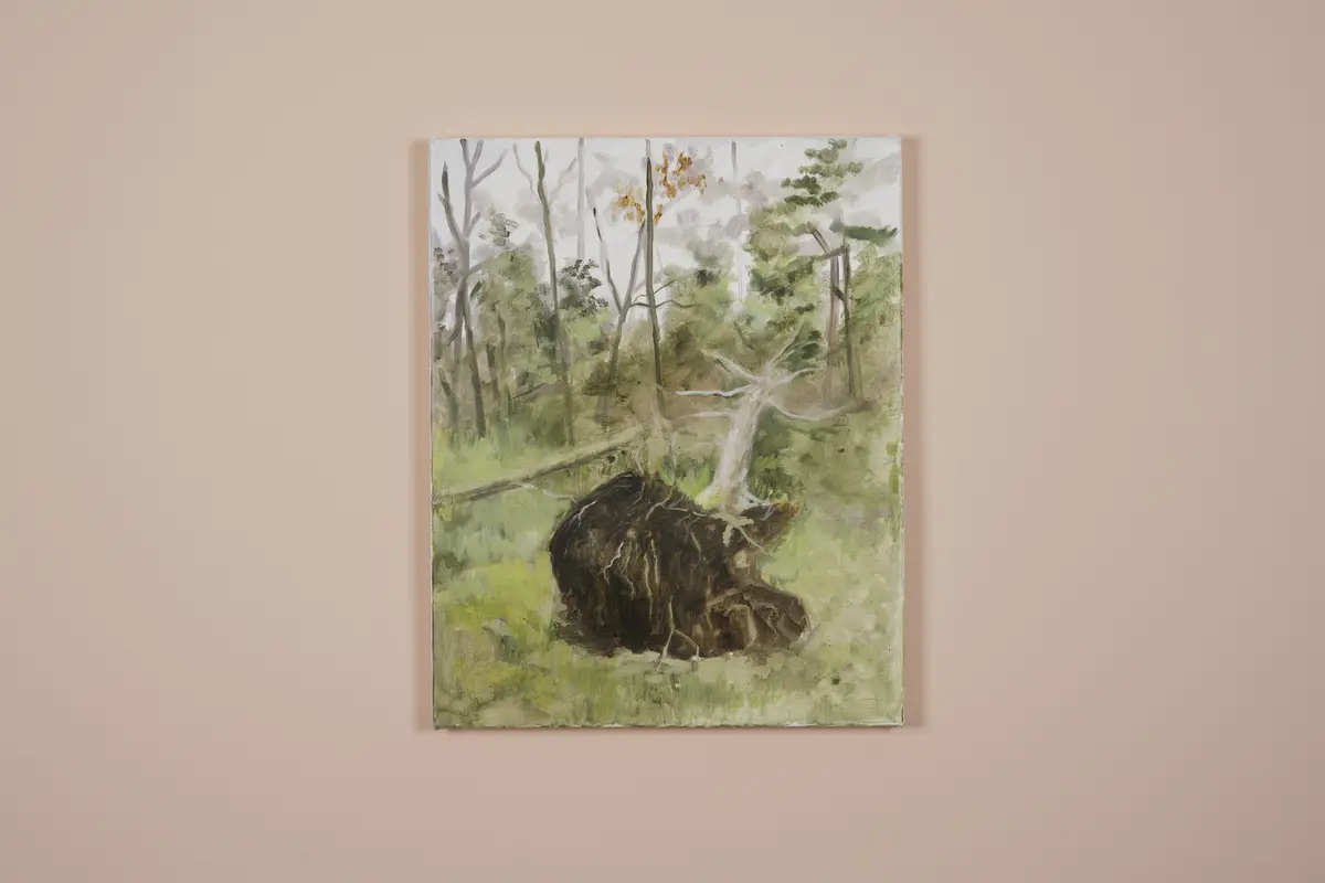 Et veltet tre er avbildet med røttene synlig. 