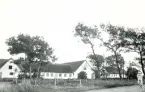 Själländskt landskap med vitputsade hus, sannolikt vasstak, vilket var standard för danska gårdar på Själland. Danmark 1920.