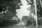 Vy över en idyllisk gata med trähus, staket och lummig grönska i Torekov, Skåne 1922.