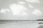 Vy över en strand i Torekov, Skåne 1922.