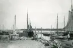 Hamnen i Torekov, Skåne 1922.