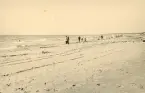 Människor som promenerar efter stranden vid Liseleje strand, Danmark 1925.