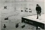 Torborg matar änder