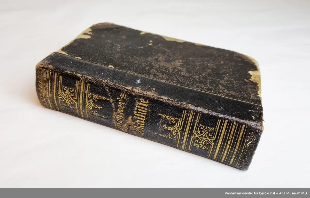 Bok innbundet i brunt skinn med gulldekorasjon og tittel i gotisk skrift på ryggen. 