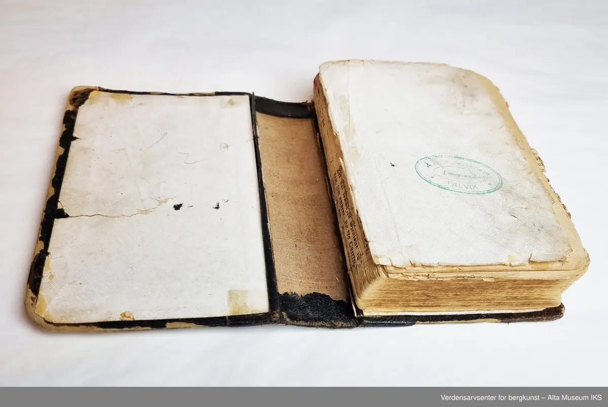 Bok innbundet i brunt skinn med gulldekorasjon og tittel i gotisk skrift på ryggen. 