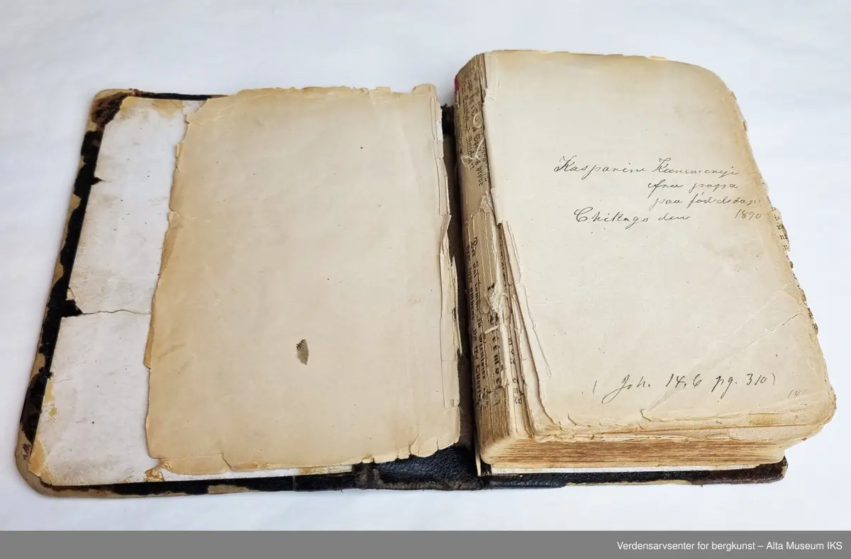 Bok innbundet i brunt skinn med gulldekorasjon og tittel i gotisk skrift på ryggen. 